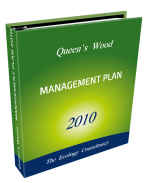 Management Plan 2010