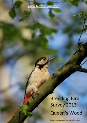 Queen's Wood Breeding Bird Survey 2013