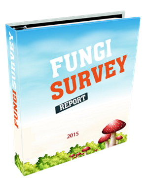 Fungi Report