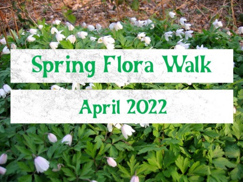 Spring lora Walk - April 2022