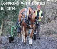 Coppicing with horses